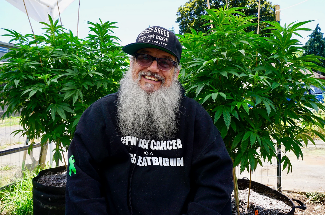 My CBD Journey | Tommy Massegee