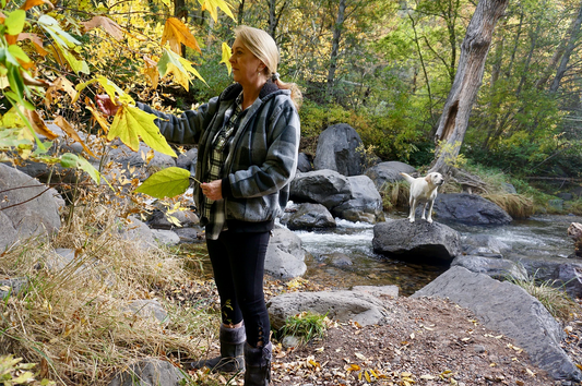 My CBD Journey | Christine Collier